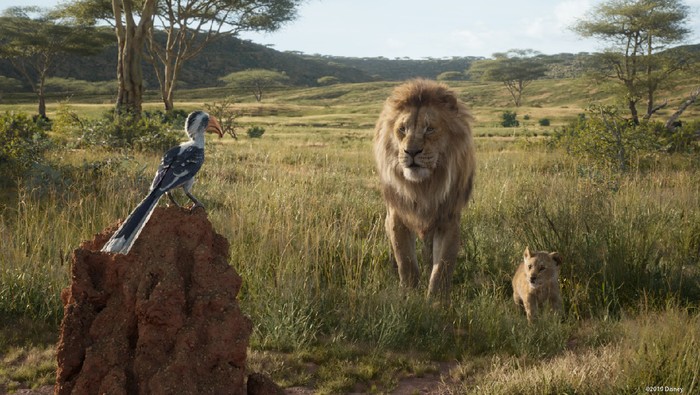 Fakta Unik Di Balik Kisah The Lion King