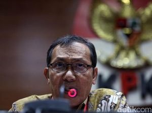KPK Soroti Pohon Sengon yang Diduga Bikin Listrik Padam Massal