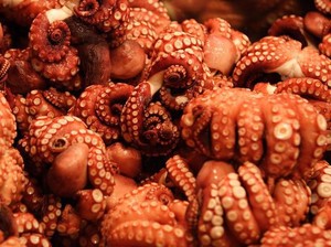 Waspada! 10 Makanan Ini Bisa Menyebabkan Kematian