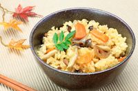 Jepang Punya Donburi hingga Kamameshi, 5 Olahan Nasi yang Pulen Gurih