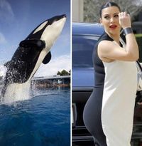Pernah Disamakan dengan Ikan Paus, Jiwa Kim Kardashian Hancur