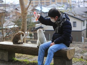 Cara Unik Orang Jepang Temukan Kucing yang Hilang