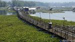 Aduh! Lewat Jembatan Apung Ini Harus Bayar Lho..