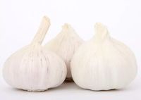 Seringlah Konsumsi 8 Makanan Ini Untuk Atasi Nyeri Sendi