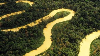 Pemandangan Hutan Amazon saat dipotret dari udara. Hutan yang berada di Brasil ini diketahui memiliki luas mencapai 7 juta kilometer persegi. Ricardo Funari/Getty Images.