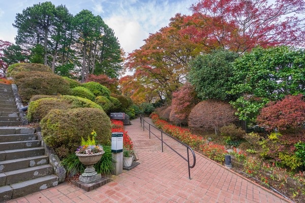Tak jauh dari Tokyo, Hakone adalah destinasi populer di pegunungan Taman Nasional Fuji-Hakone-Izu. Cobalah main ke Hakone untuk menikmati suasana Jepang yang berbeda. (iStock) Tak jauh dari Tokyo, Hakone adalah destinasi populer di pegunungan Taman Nasional Fuji-Hakone-Izu. Cobalah main ke Hakone untuk menikmati suasana Jepang yang berbeda. (iStock)