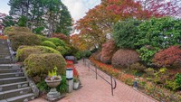  Tak jauh dari Tokyo, Hakone adalah destinasi populer di pegunungan Taman Nasional Fuji-Hakone-Izu. Cobalah main ke Hakone untuk menikmati suasana Jepang yang berbeda. (iStock)