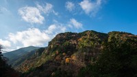 Masih di Nara, ada Lembah Mitirai yang tak kalah memukau pemandangannya. Para pengunjung akan terbuai dengan kesejukan dan hijaunya destinasi ini. (iStock)