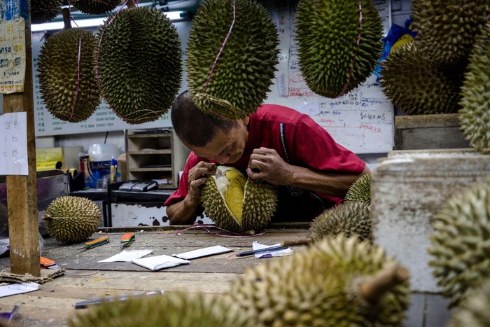 Foto: Suzane Lee - The Times Foto: Suzane Lee - The Times