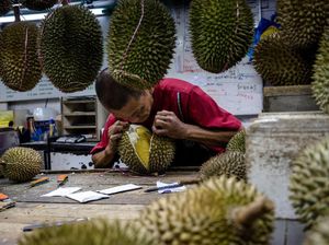 Dulu Curi Bibit Pohon Durian, Pria Ini Jadi Pengusaha Durian Sukses