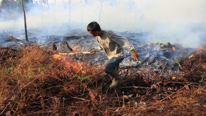 Kebakaran hutan. (Foto: Antara Foto) Kebakaran hutan. (Foto: Antara Foto)