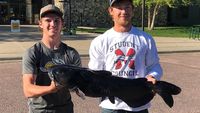 Super Jumbo! Ikan Mas 105 Kg Berhasil Ditangkap di Thailand