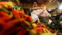 Menurut Suwandi, cabai-cabai tersebut ditanam di lahan yang sudah ditata cukup air.