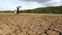 Musim kemarau di Aceh menyebabkan berkurangnya debit air sungai, kekeringan lahan pertanian, dan kebakaran hutan dengan suhu udara antara 23 hingga 35 derajat celcius. Antara Foto/Irwansyah Putra.