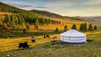 Mongolia menempati posisi ke-42 dengan skor 1.792. Istimewa/Christian Kornacker/Dok. Shutterstock.
