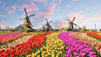 Belanda berada di posisi ke-17 dengan skor 1.530. Olena Znak/Getty Images
