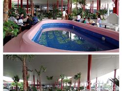 Menguji Kemampuan Kamera vivo Series S