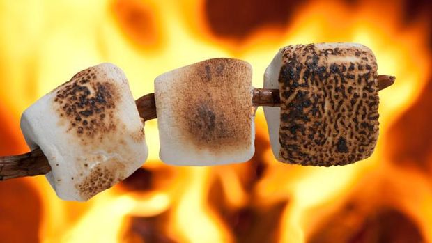 Three marshmallows roasting on a stick in front of warm out-of-focus bonfire flames.