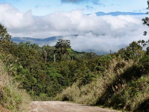 Pembantaian Etnis di PNG, PM Marape: Ini Hari Paling Menyedihkan