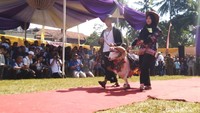 Sesuai namanya, di festival ini para domba berlagak seperti model menunjukan kebolehan dituntun oleh pemiliknya. Para domba juga di dandani dengan kostum dan aksesoris. (Dadang Hermansyah/detikcom)