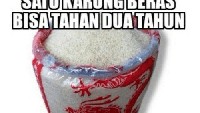 Siapa yang suka menyimpan stok beras di rumah? Nah ini ada info penting kalau satu karung beras bisa tahan dua tahun. Eits tapi karungnya saja ya. Foto: istimewa