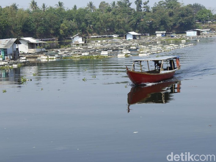 Air di Waduk Saguling, Kabupaten Bandung Barat, mulai surut. Peternak khawatir ikan akan mabuk dan mati.