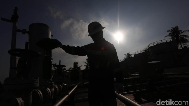 Impor Migas Bikin Neraca Dagang Tekor, ESDM Bicara Pakai Kayu Bakar