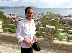 Jokowi, Shenzhen, dan Ikan Asin