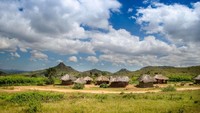 Selanjutnya ada negara Malawi. Negara ini memiliki skor 1.779. Istimewa/Ian Gordon/ Getty Images.