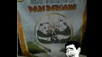 Merek beras yang satu ini agak membingungkan. Katanya merek Padi Beruang tapi gambarnya dua ekor panda.  Foto: istimewa