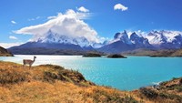 Selanjutnya ada negara Chile yang berada di posisi ke-27 dengan skor 1.634. Istimewa/Kavram/Getty Images.