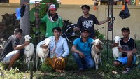 Adanya perlombaan karapan kambing secara rutin diharapkan dapat melestarikan dan mengembangkan budaya lokal sekaligus sebagai ajang promosi wisata serta menambah daya tarik wisatawan baik lokal maupun mancanegara untuk berkunjung ke Kota Probolinggo.