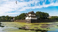Jembatan Nijubashi, rumah teh Suwano dan aula Nippon Budokan menjadi daya tarik para pengunjung saat mengunjungi tempat tersebut. Istimewa/tobiasjo/Getty Images.