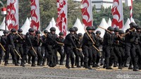 Selain kesenian daerah, terdapat pertunjukan seni bela diri dari Brimob.