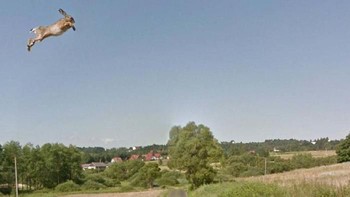 Huuup, jadi seperti terbang deh. (Foto: Dok. Google via Boredpanda.com)