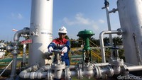 Sedangkan realisasi produksi minyak bulan Juni (MTD) sebesar 2.995,807 bph (101%) dan realisasi produksi gas mencapai 3,719 MMSCFD atau 107,1% terhadap sasaran realisasi produksi.