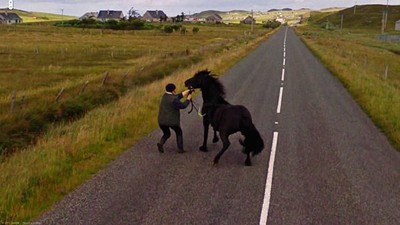 Aksi Hewan yang Tak Sengaja Tertangkap Kamera Google Street View