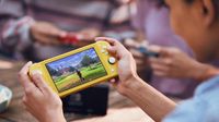 can nintendo switch lite play 3ds games