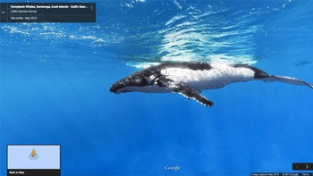 Kamera Google Street View sempat mengabadikan paus. Foto: Bored Panda
