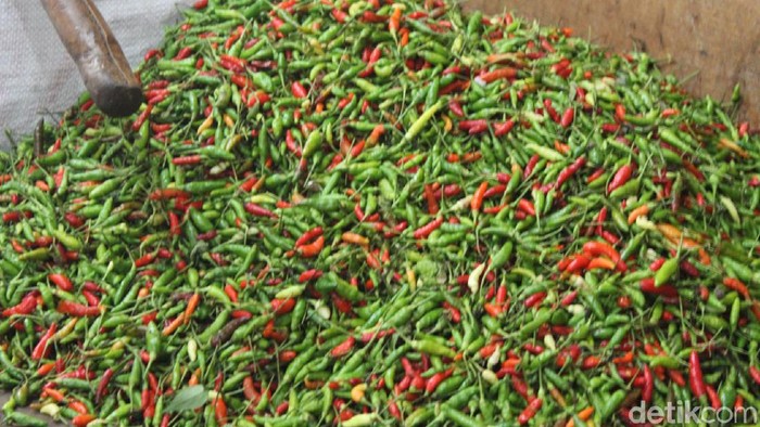 Cabai Tembus Rp 70 Ribu, Kejari Tasikmalaya Hanya Jual Rp 36 Ribu/Kg