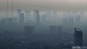 Polusi Udara Sebabkan Serangan Asma, Peran Puskesmas Perlu Ditingkatkan