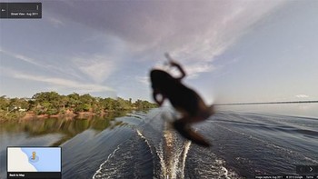 Eits, kodok tiba-tiba lompat! (Foto: Dok. Google via Boredpanda.com)