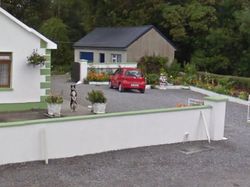 Aksi Hewan yang Tak Sengaja Tertangkap Kamera Google Street View