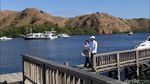 Pulau Rinca Diusung Jadi Jurassic Park Indonesia