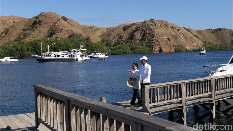 Presiden Jokowi beserta Ibu Negara Iriana Joko Widodo di Pulau Rinca (Abdul Haris/detikcom) Presiden Jokowi beserta Ibu Negara Iriana Joko Widodo di Pulau Rinca (Abdul Haris/detikcom)