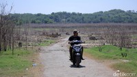 Tidak hanya itu, pada musim kemarau jalan desa pun kembali muncul. Kondisinya masih bagus dengan aspal yang masih menempel.