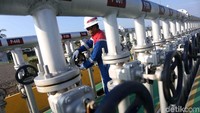 Unit bisnis PT Pertamina EP, Pertamina EP Asset I Rantau Field, hingga semester I/2019 mencatatkan produksi minyak sebesar 2.814,542 barel per hari (bph) atau 100,1% dari target yang ditetapkan sebesar 2.810 bph.
