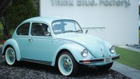 Dengan desainnya yang funky dan harga yang murah, mobil ini menjadi kisah sukses selama beberapa dekade berikutnya. Bahkan, di beberapa negara VW Beetle merupakan salah satu model terlaris. Hector Vivas/Getty Images.
