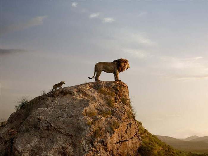 The Lion King Simba Versi Baru Ternyata Letoy