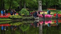 Taman Keukenhof yang terletak di Belanda ini memiliki pemandangan yang sangat indah karena bunga-bunga yang berwarna-warni yang bermekaran di sana. Istimewa/Dean Mouhtaropoulos/Getty Images.
